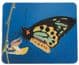 Mouse mat - Butterfly Picture - Free Postage