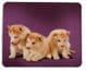 Mouse mat - Puppy Picture - Free Postage