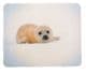 Mouse mat - Seal Pup Picture - Free Postage