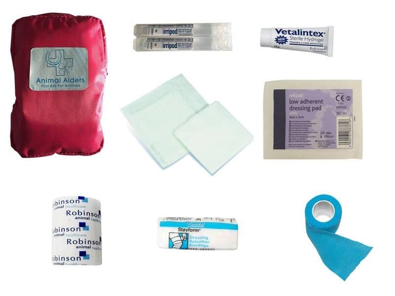 Cat Pink Basic First Aid Kit