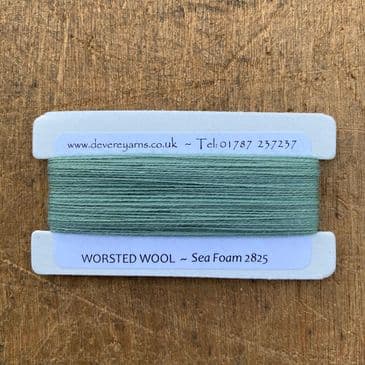 2825 Sea Foam - Worsted Wool - Embroidery Thread