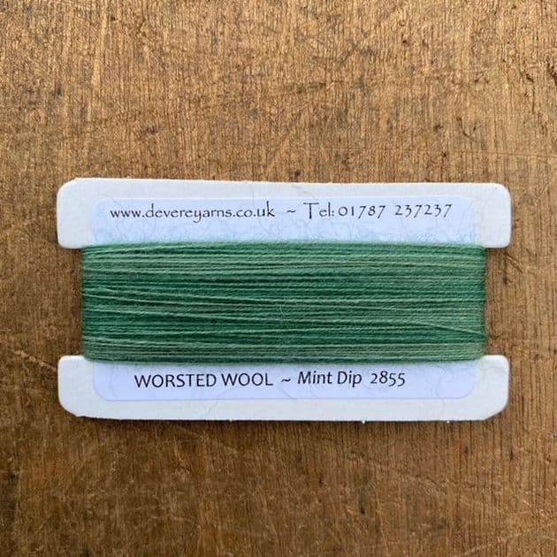 2855 Mint Dip Dyed - Worsted Wool - Embroidery Thread