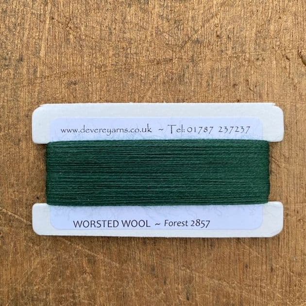2857 Forest - Worsted Wool - Embroidery Thread