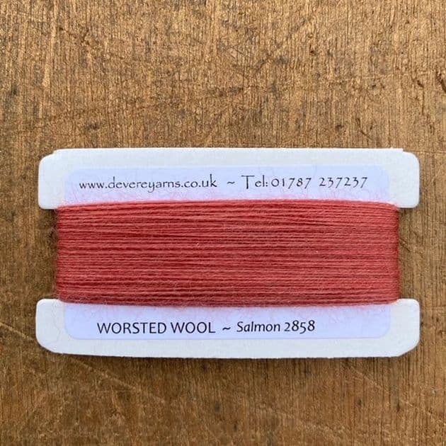 2858 Salmon - Worsted Wool - Embroidery Thread