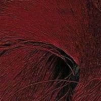 60/66 Pure Silk Organzine - Red Dark Red