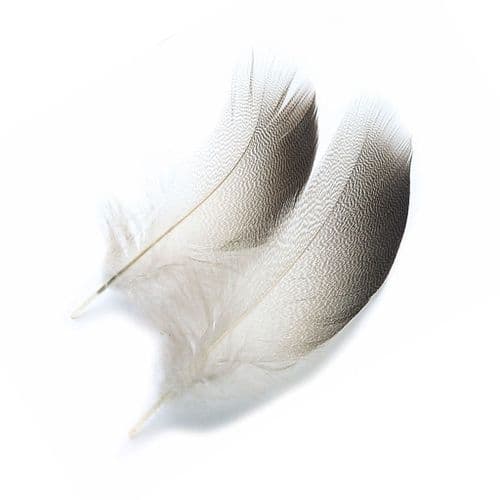 Veniard Bronze Mallard Shoulder Feathers