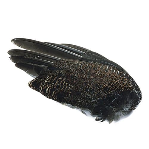 Veniard Grouse Wings