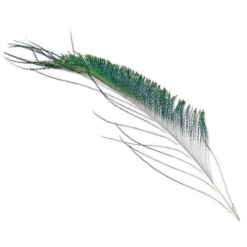 Veniard Peacock Sword Tails Natural