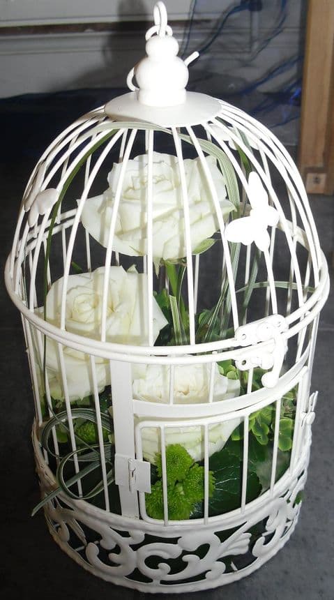 Bird's Cage in Ivory & Sage
