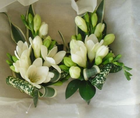 Ivory Freesia Corsages
