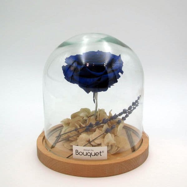 a FOREVER ROSE in a glass vase / ενα ΔΙΑΤΗΤΗΜΕΝο ΤΡΙΑΝΤΑΦΥΛΛΑ μεσα σε γυάλα