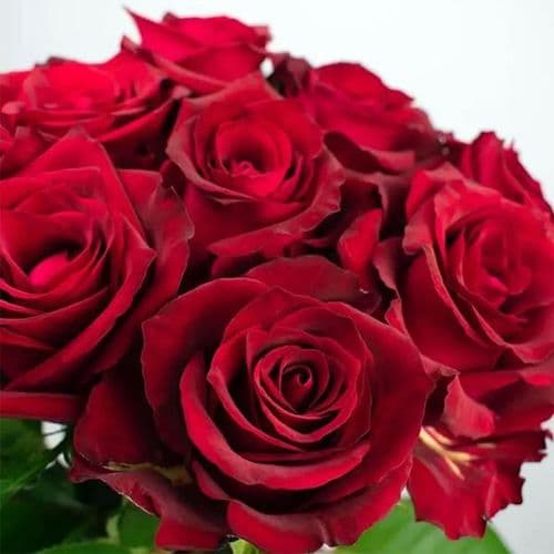 Bouquet of 10 Red roses / Μπουκετο με 10  τριανταφυλλα με μεγάλα άνθη