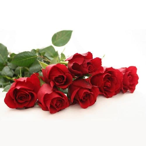 Bouquet of 10 Red roses / Μπουκέτο με 10 κόκκινα τριαντάφυλλα