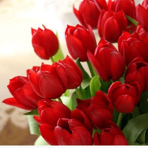 Bouquet of 10 red tulips / Μπουκέτο με 10 κόκκινες τουλίπες