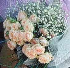 Bouquet of pink spray roses and baby's breath