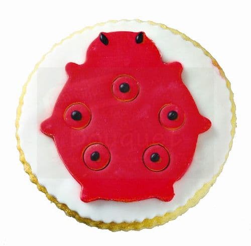 Cookie round with ladybug / Μπισκότο βάπτισης στρόγγυλο με πασχαλίτσα