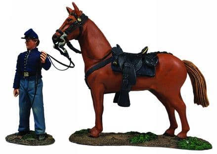 WB31269 Federal Orderly Holding Horse