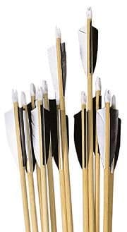 12 Hand Made Spined POC Wooden Arrows