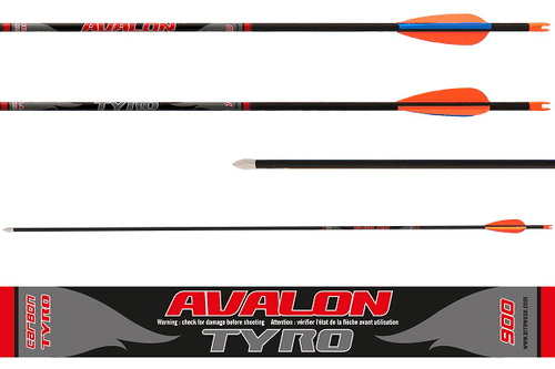 Avalon Tyro Carbon Arrows Set 12
