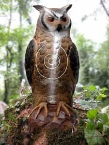 SRT Owl 1