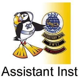 Assistant Instructor