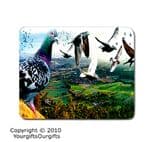 Personalised Racing Pigeon Mousemats Placemats Small / Large
