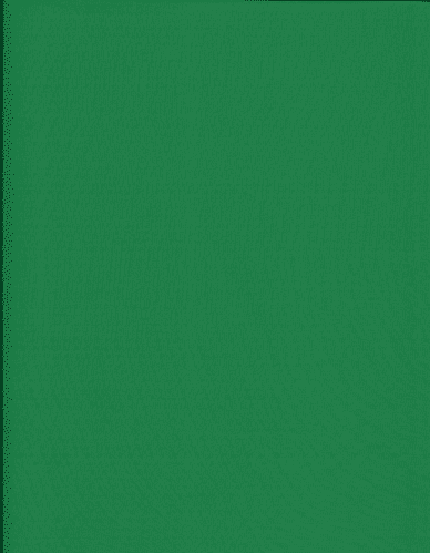 1201 Adidas Tracksuit Sheen - Emerald